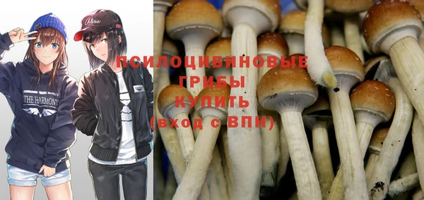 прущая мука Балахна