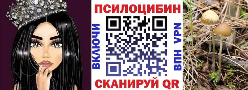 Псилоцибиновые грибы прущие грибы  Бронницы 